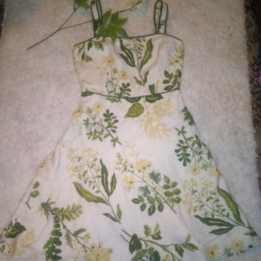 woman's dress